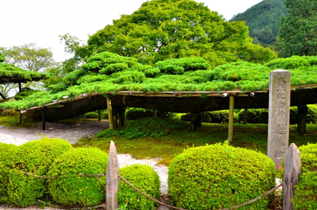 善峯寺の概要